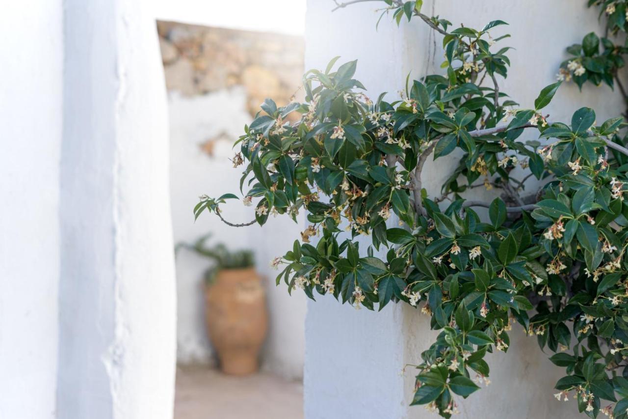 Traditional Cretan House Lithostrati Karidi Village Dış mekan fotoğraf