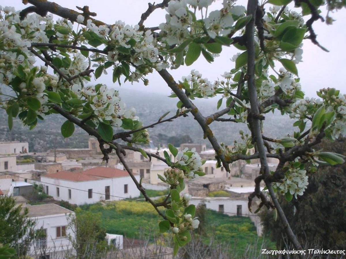 Traditional Cretan House Lithostrati Karidi Village Dış mekan fotoğraf