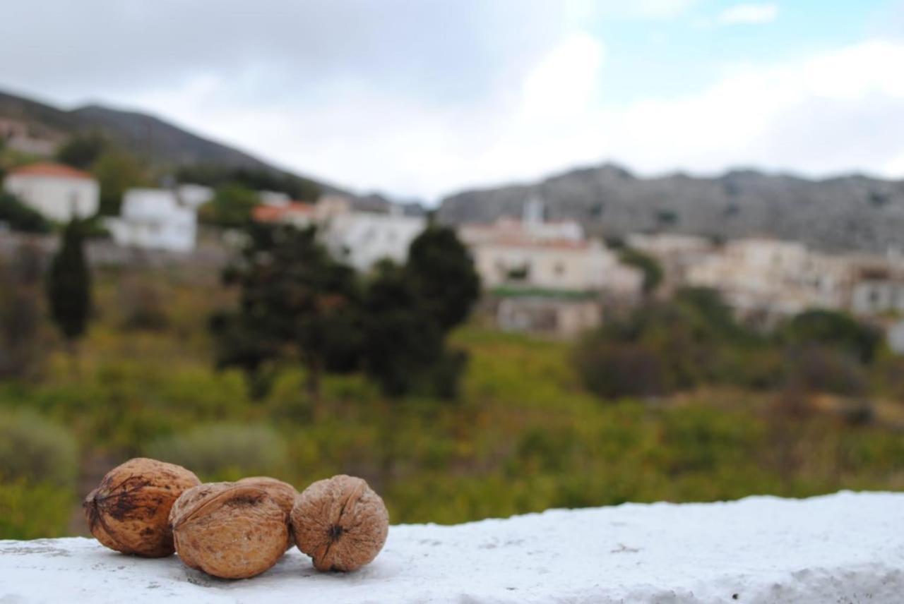 Traditional Cretan House Lithostrati Karidi Village Dış mekan fotoğraf